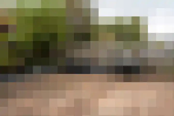 Praamweg 13 Stadskanaal thumbnail 38