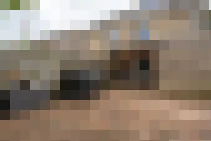 Praamweg 13 Stadskanaal thumbnail 39