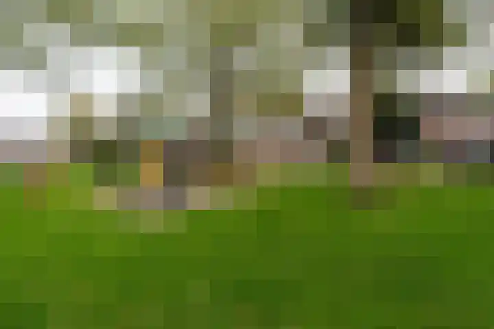Praamweg 13 Stadskanaal thumbnail 40