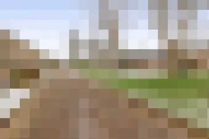 Praamweg 3 Stadskanaal thumbnail 10