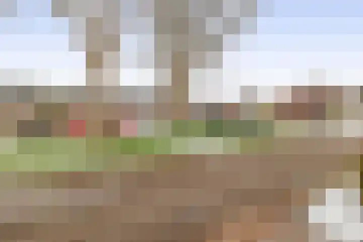 Praamweg 3 Stadskanaal thumbnail 11