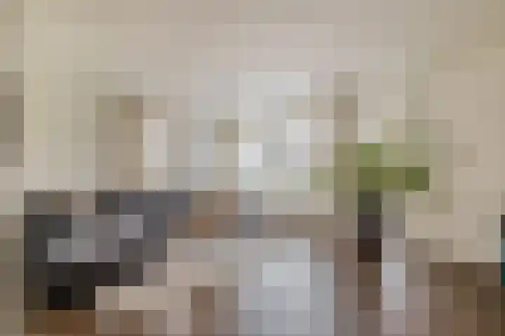 Praamweg 3 Stadskanaal thumbnail 17