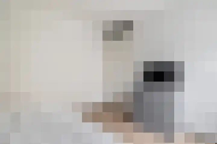Praamweg 3 Stadskanaal thumbnail 30