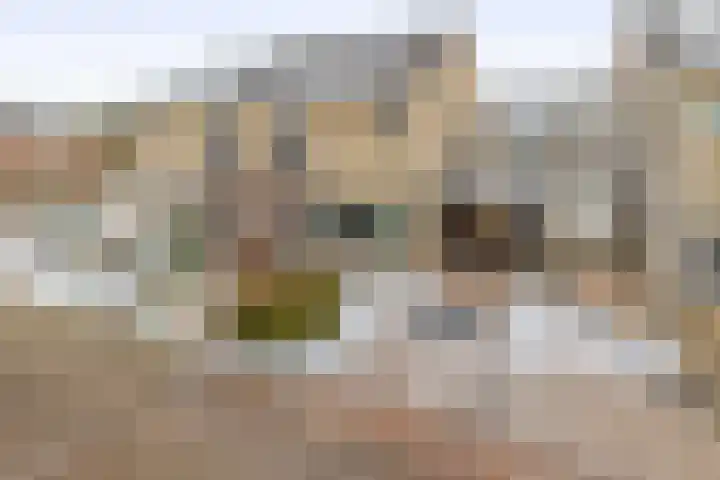 Praamweg 3 Stadskanaal thumbnail 5