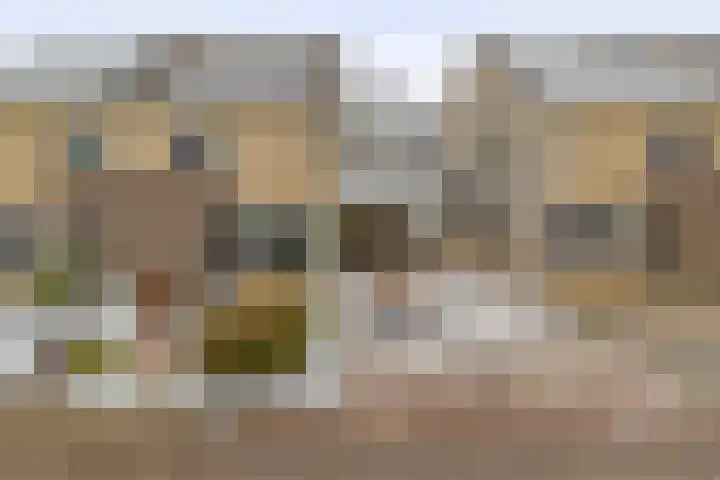 Praamweg 3 Stadskanaal thumbnail 6
