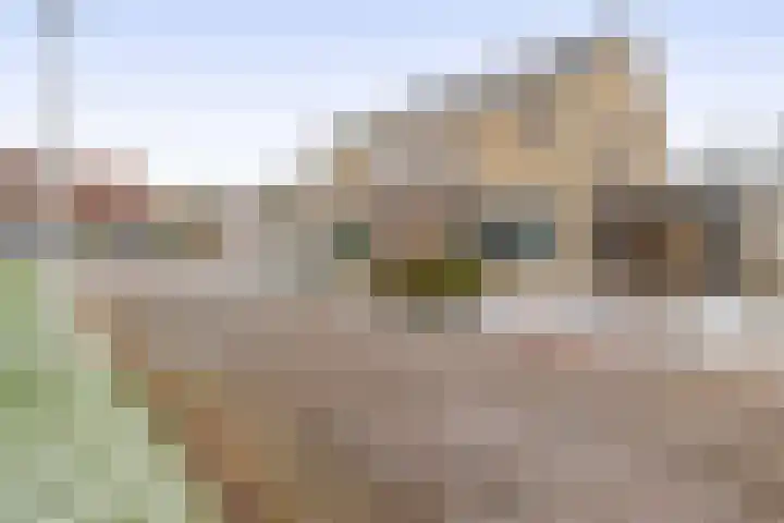 Praamweg 3 Stadskanaal thumbnail 8