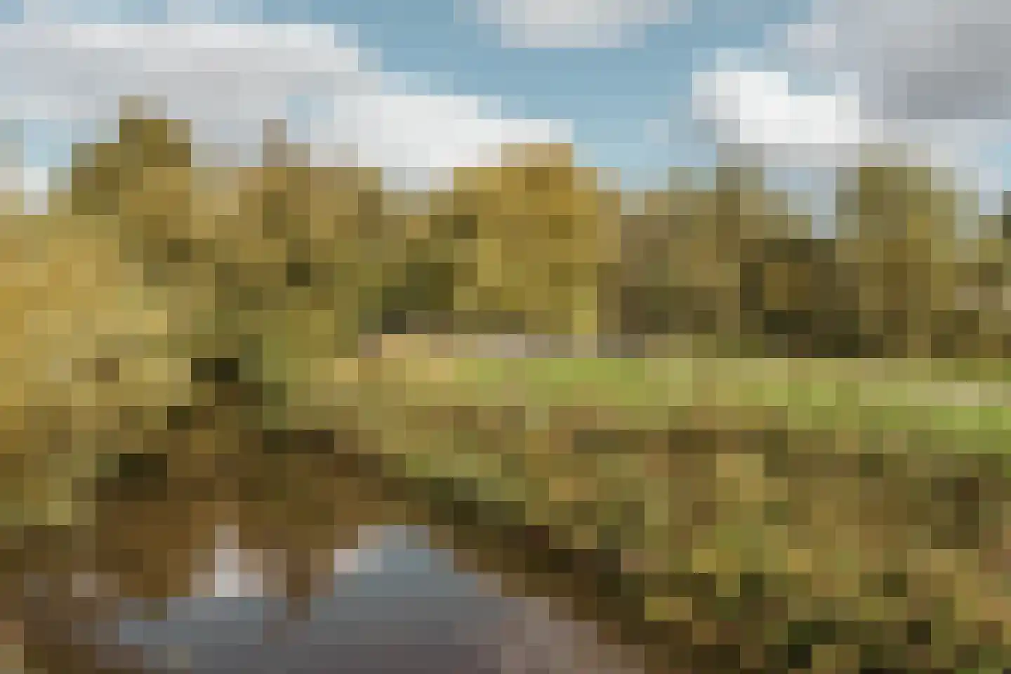 Pracanalaan 44 A Amsterdam thumbnail 21