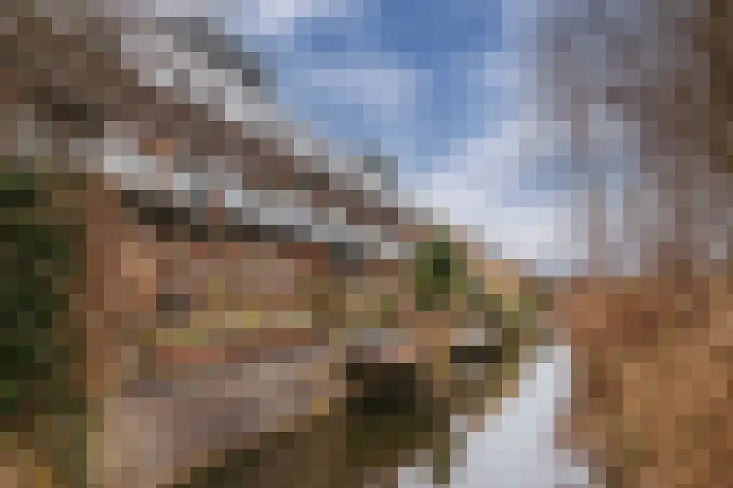 Pracanalaan 44 C Amsterdam thumbnail 17