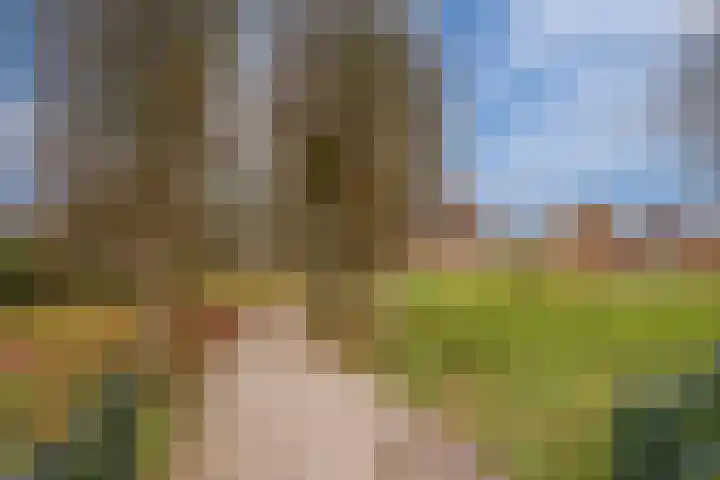 Pracanalaan 44 C Amsterdam thumbnail 20