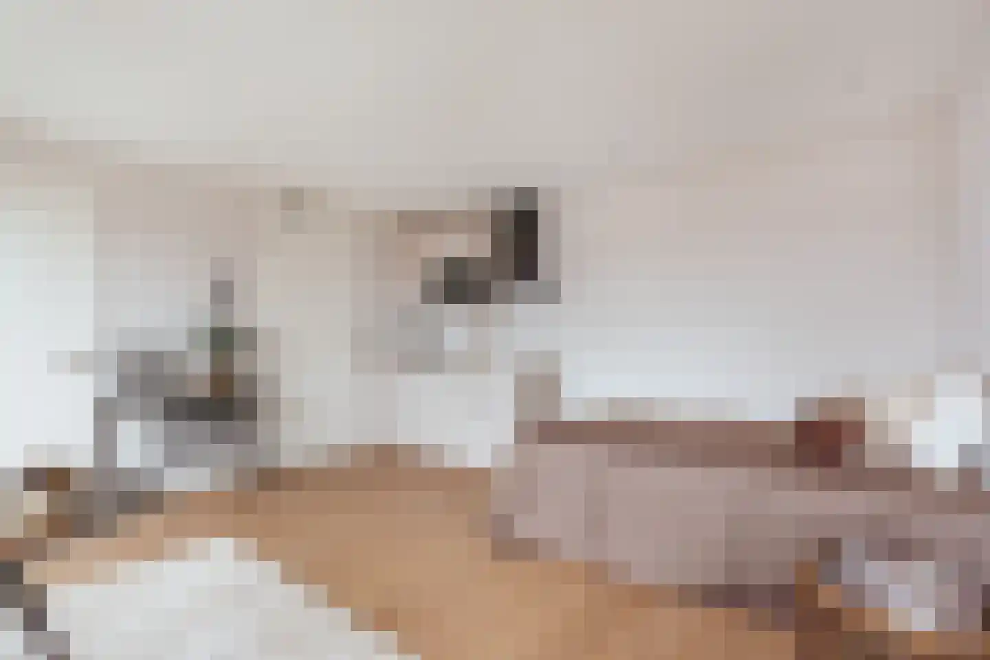 Pracanalaan 44 C Amsterdam thumbnail 4
