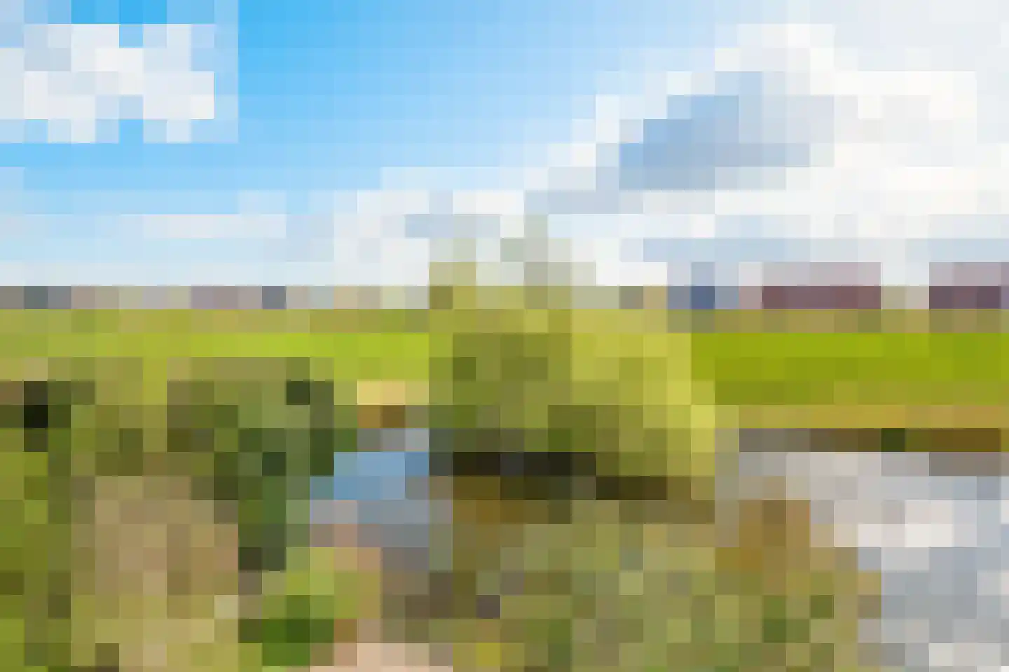 Pracanalaan 54 Amsterdam thumbnail 16