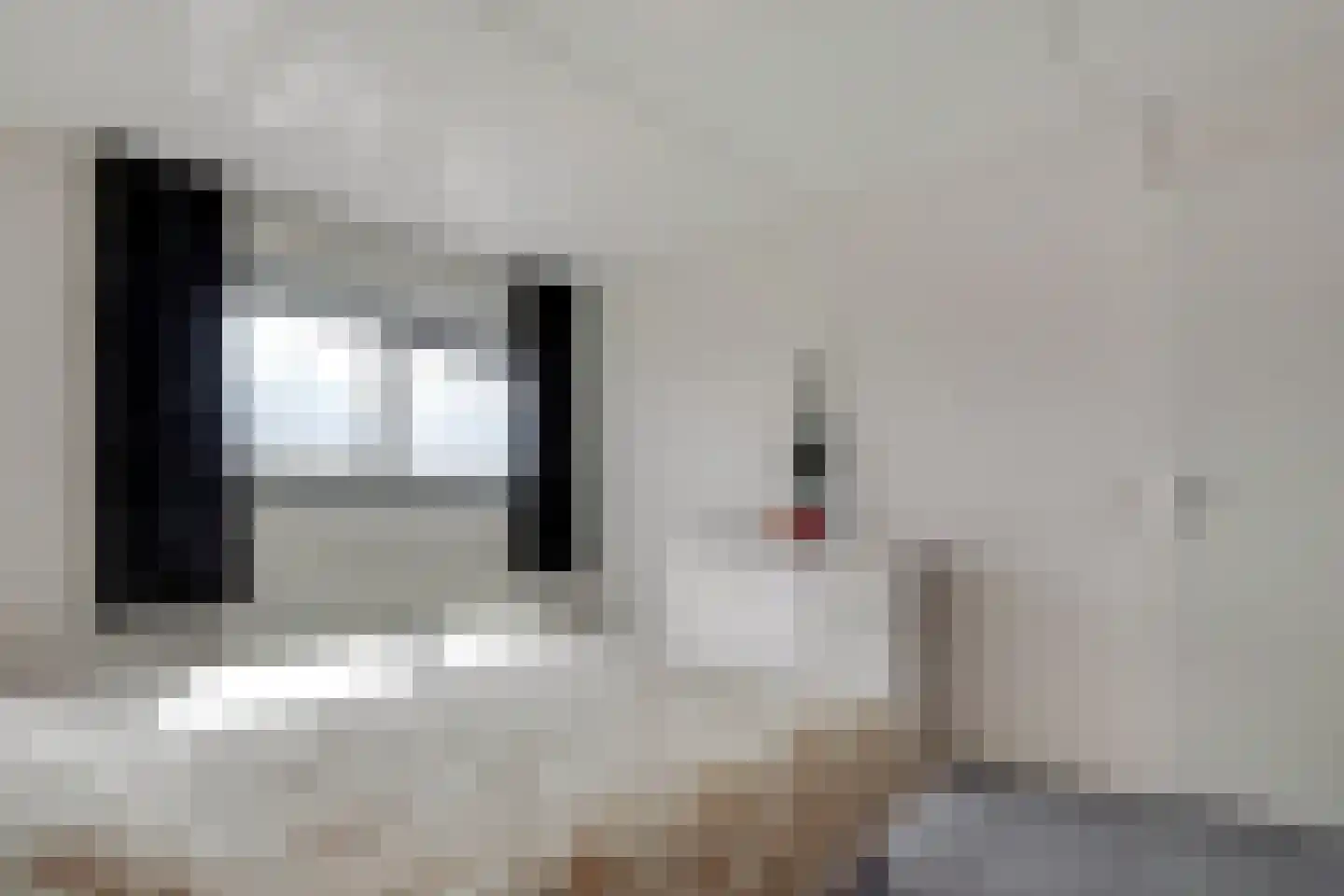 Pracanalaan 54 Amsterdam thumbnail 20