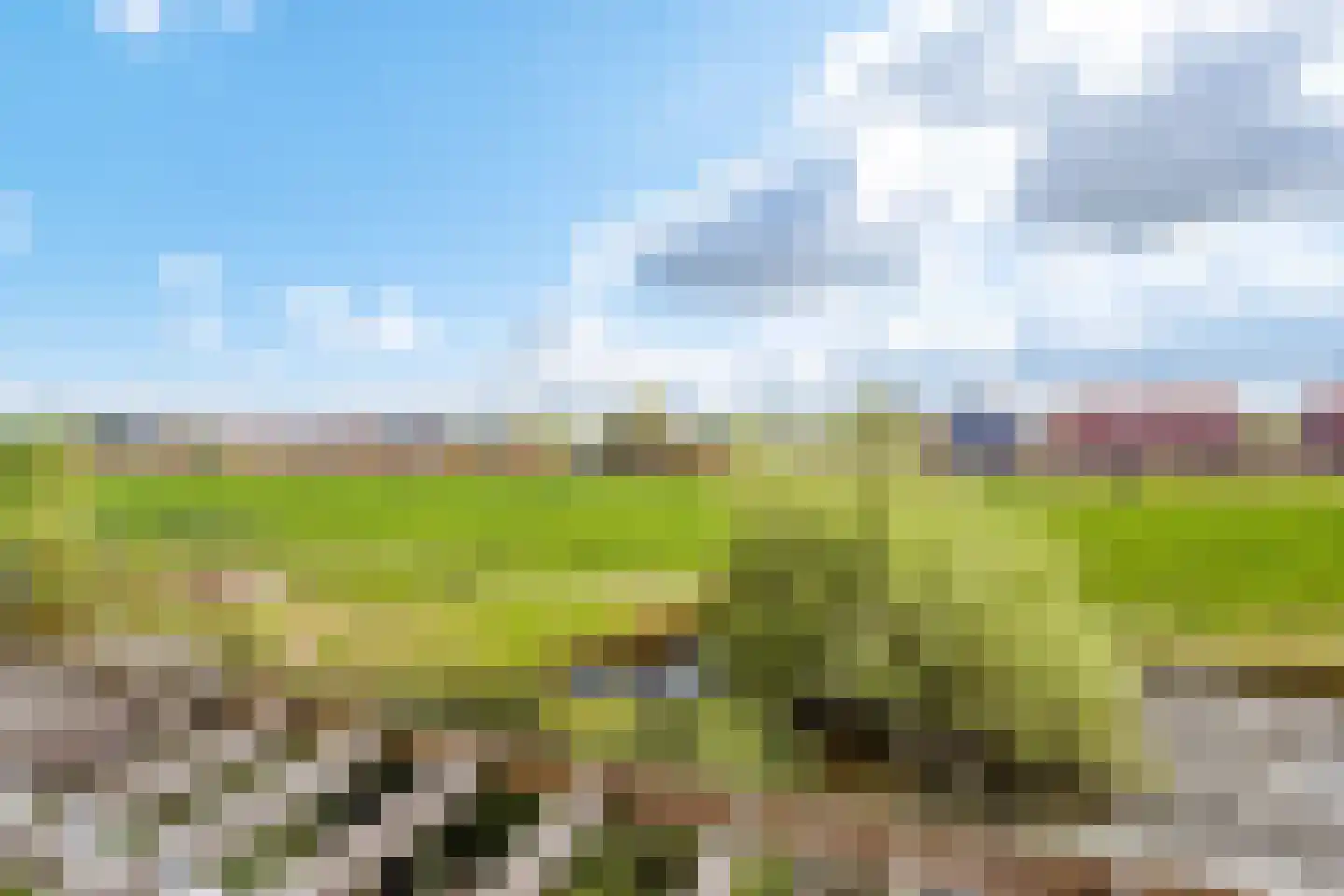 Pracanalaan 54 Amsterdam thumbnail 21