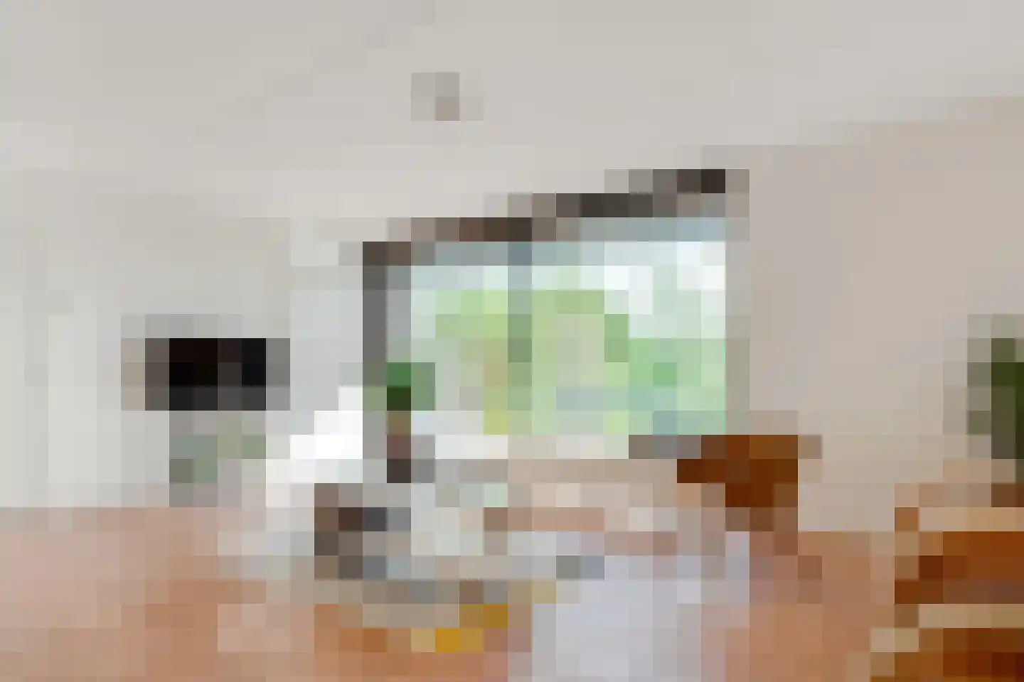 Pracanalaan 54 Amsterdam thumbnail 35