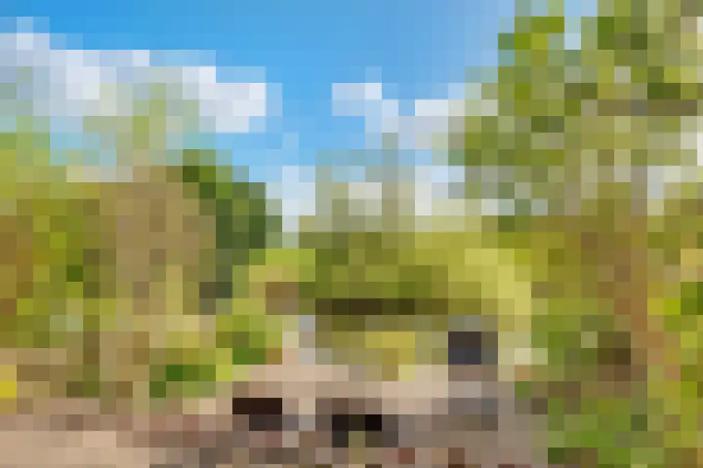 Pracanalaan 54 Amsterdam thumbnail 37