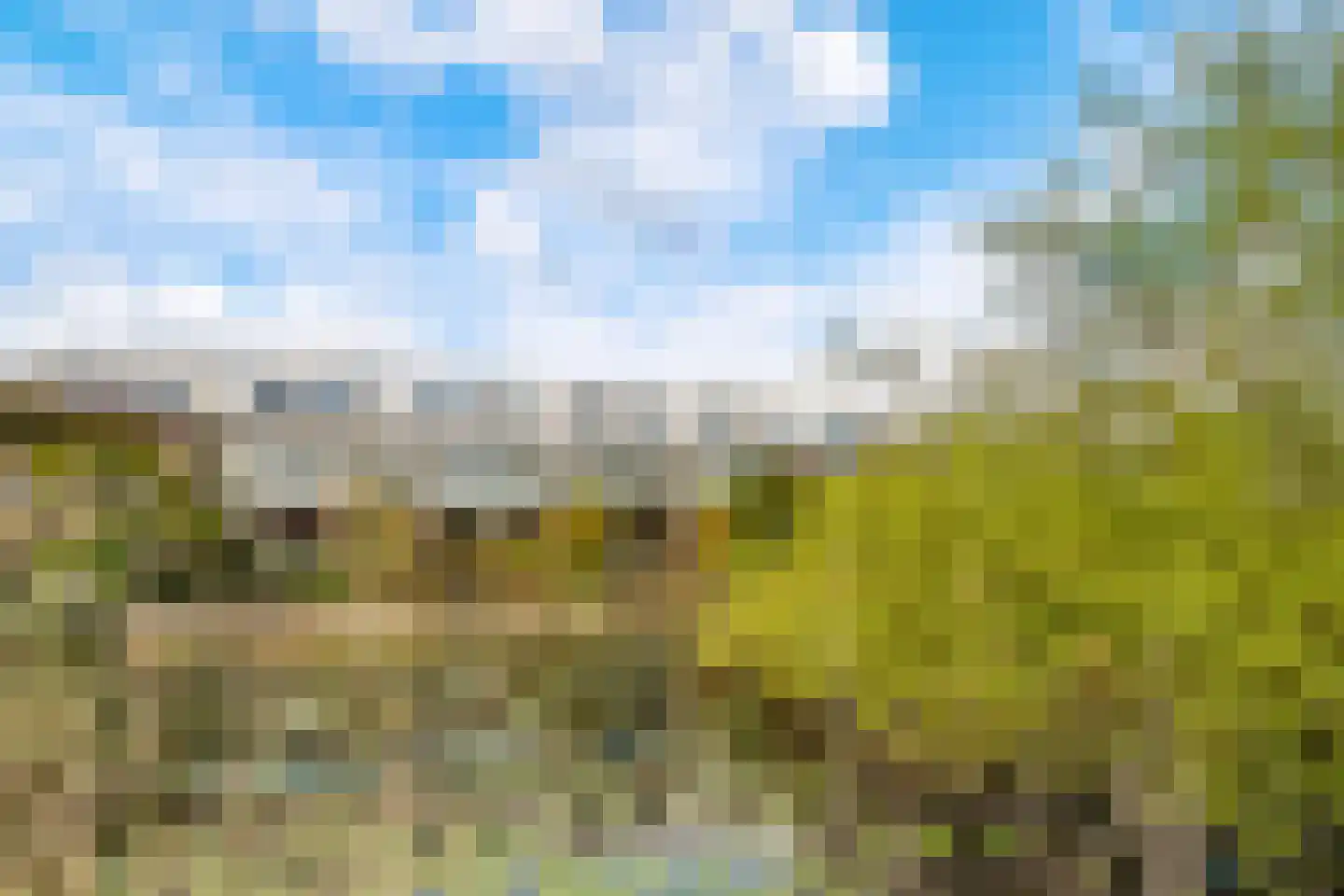 Pracanalaan 54 Amsterdam thumbnail 44