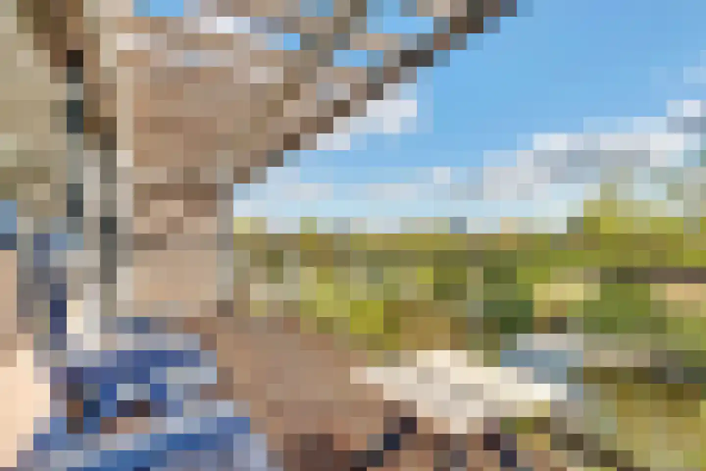 Pracanalaan 54 Amsterdam thumbnail 6