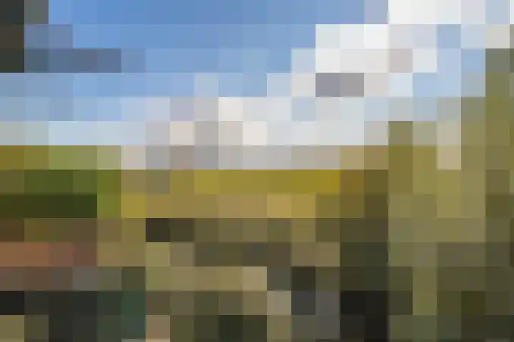 Pracanalaan 80 Amsterdam thumbnail 11