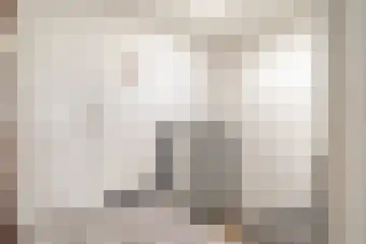 Pracanalaan 80 Amsterdam thumbnail 31