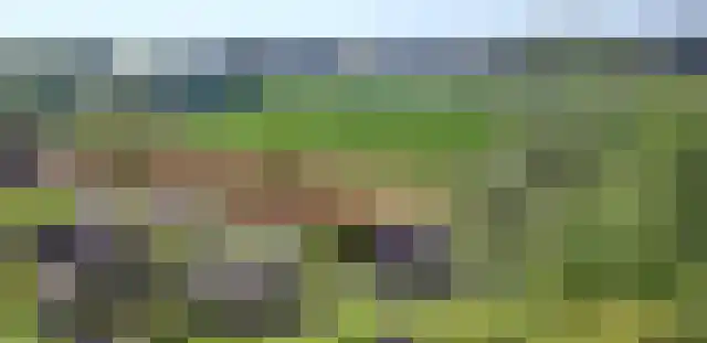 Pracanalaan 80 Amsterdam thumbnail 36