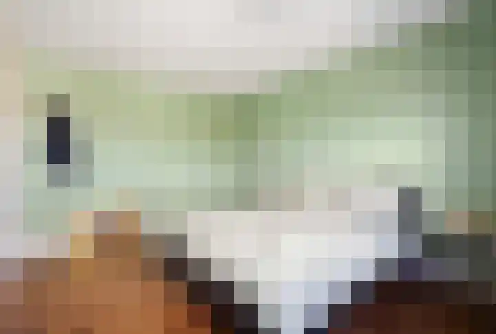Pracanalaan 80 Amsterdam thumbnail 38