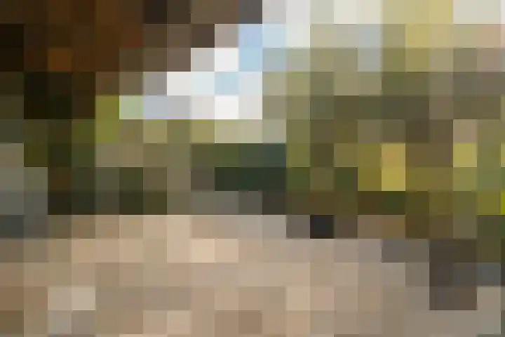 Pracanalaan 80 Amsterdam thumbnail 44