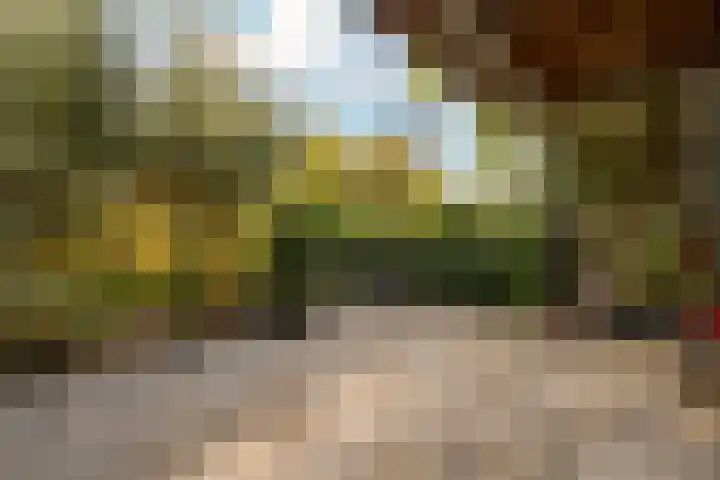 Pracanalaan 80 Amsterdam thumbnail 45