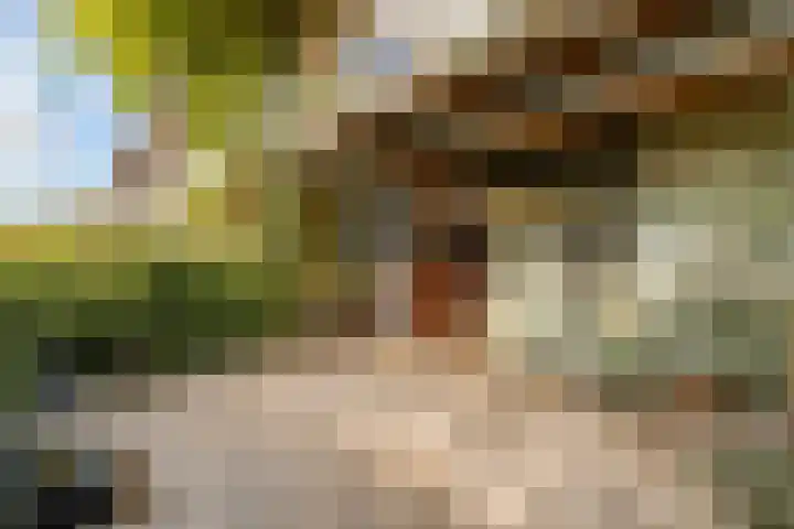 Pracanalaan 80 Amsterdam thumbnail 46