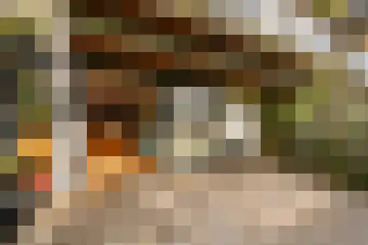Pracanalaan 80 Amsterdam thumbnail 47