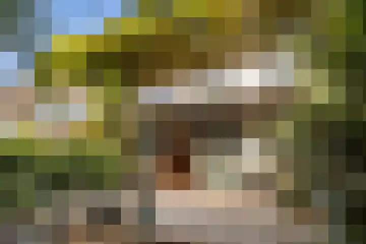 Pracanalaan 80 Amsterdam thumbnail 49