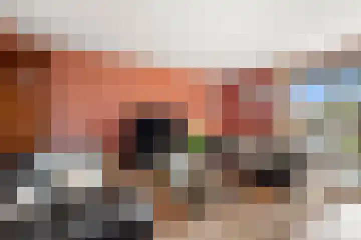 Pracanalaan 80 Amsterdam thumbnail 5