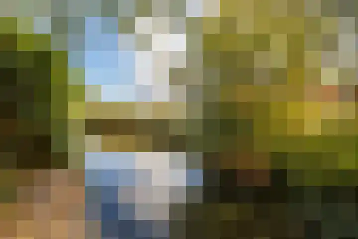 Pracanalaan 80 Amsterdam thumbnail 50
