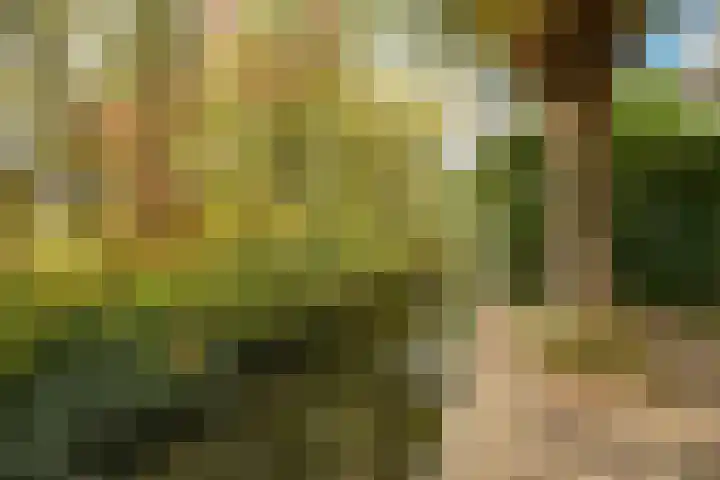 Pracanalaan 80 Amsterdam thumbnail 51