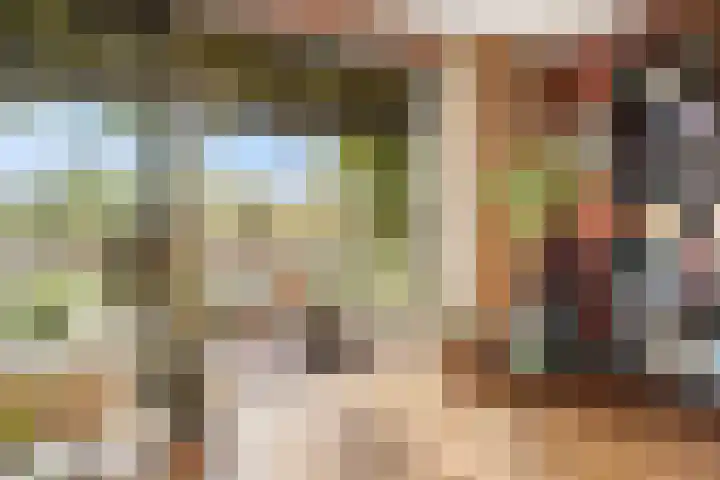 Pracanalaan 80 Amsterdam thumbnail 9
