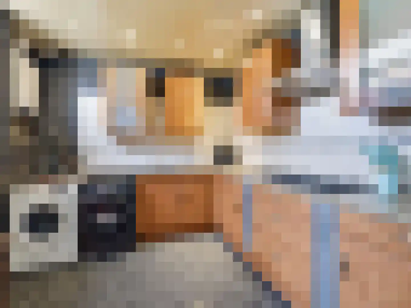 Praebsterkamp 1 Zutphen thumbnail 11