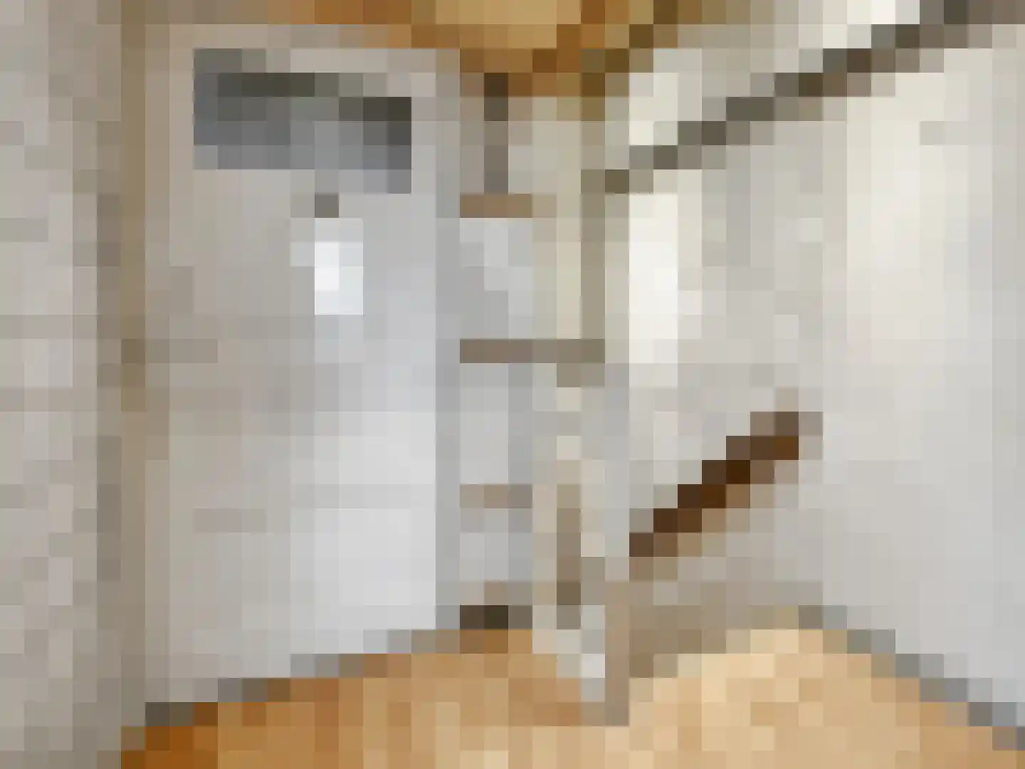 Praebsterkamp 1 Zutphen thumbnail 13