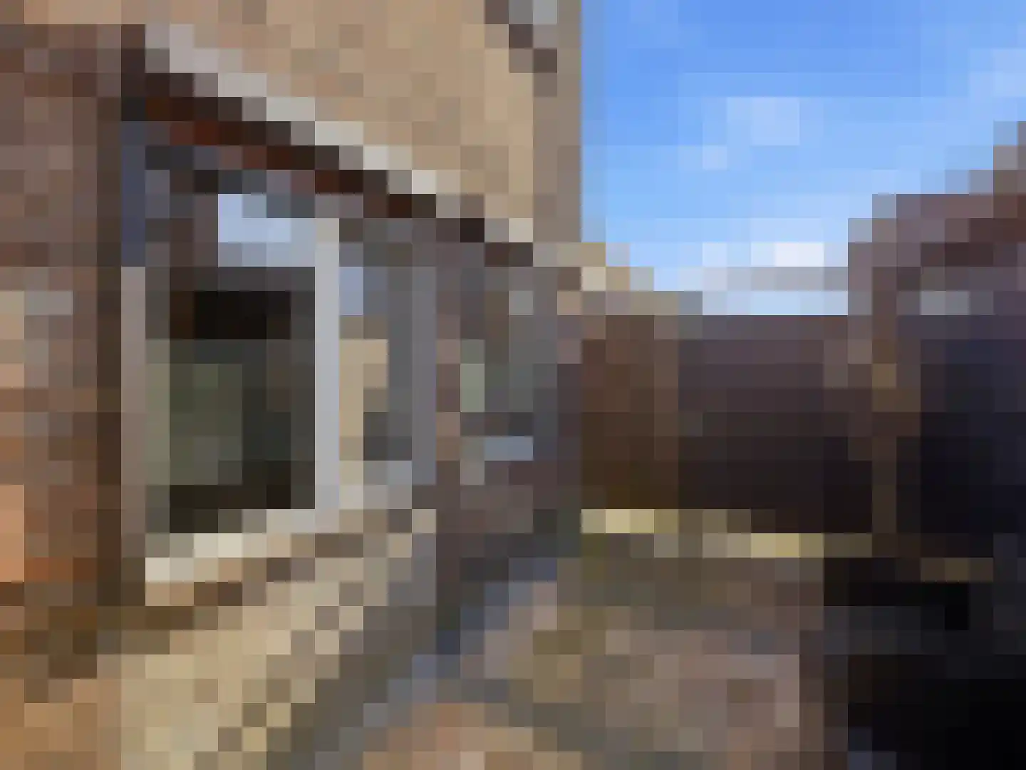 Praebsterkamp 1 Zutphen thumbnail 20