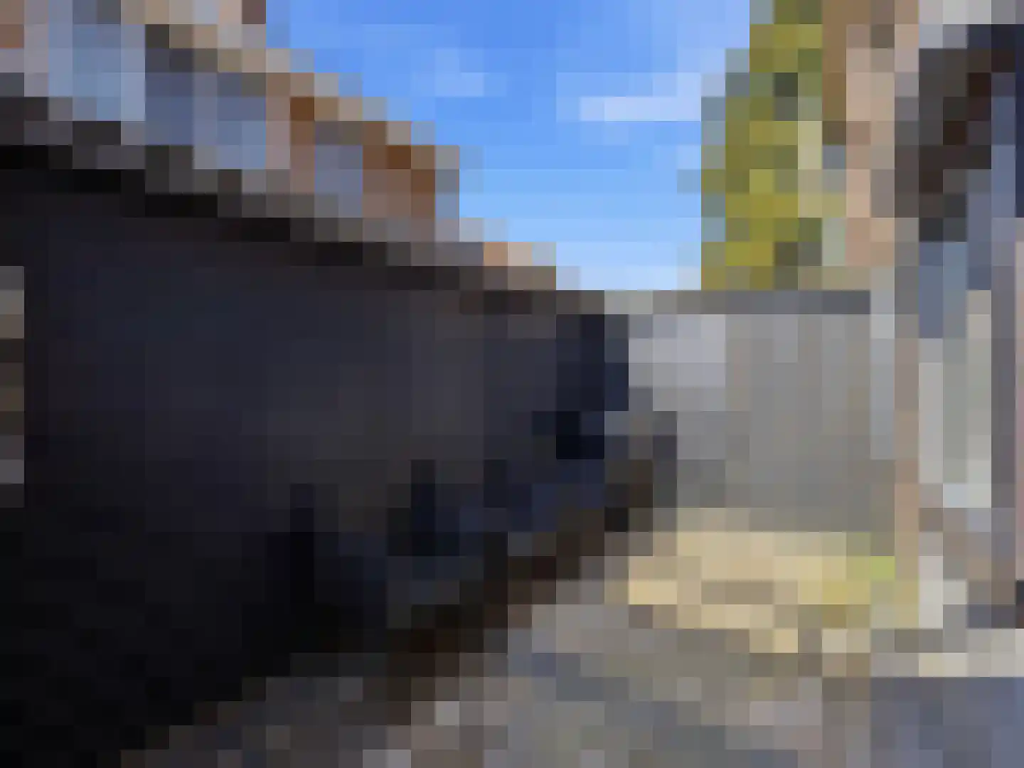 Praebsterkamp 1 Zutphen thumbnail 21