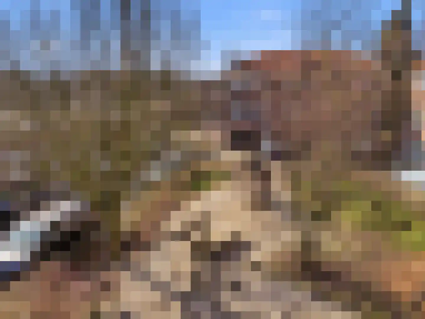 Praebsterkamp 1 Zutphen thumbnail 25