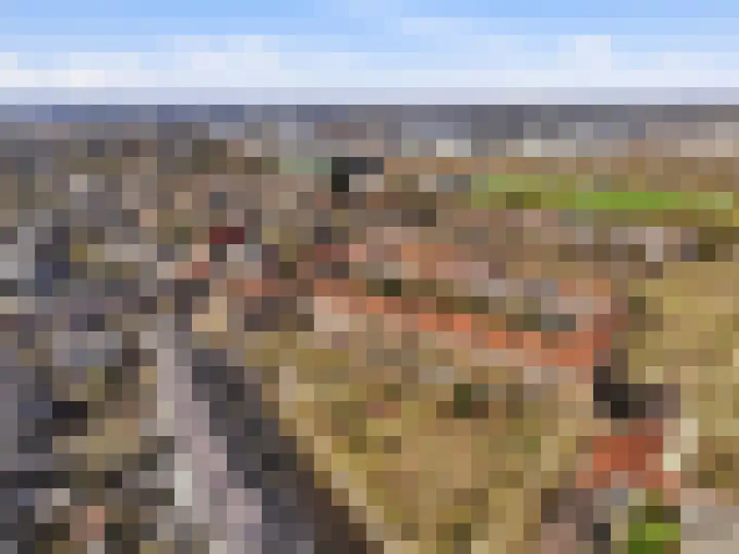 Praebsterkamp 1 Zutphen thumbnail 27
