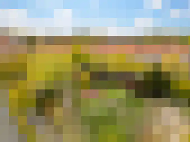 Praebsterkamp 13 Zutphen thumbnail 20