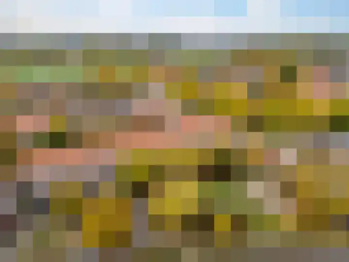 Praebsterkamp 13 Zutphen thumbnail 22