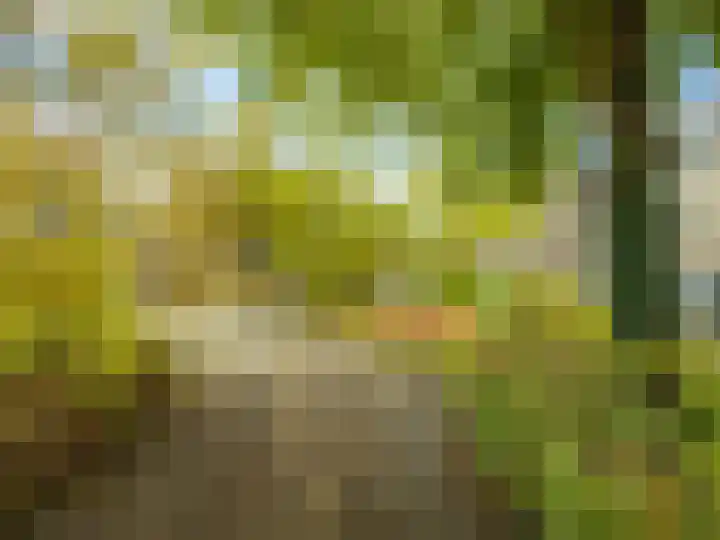 Praebsterkamp 13 Zutphen thumbnail 24