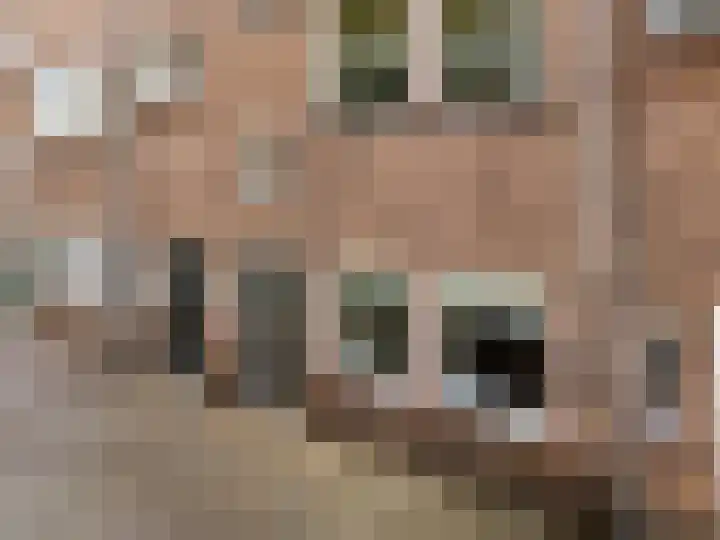 Praebsterkamp 13 Zutphen thumbnail 25