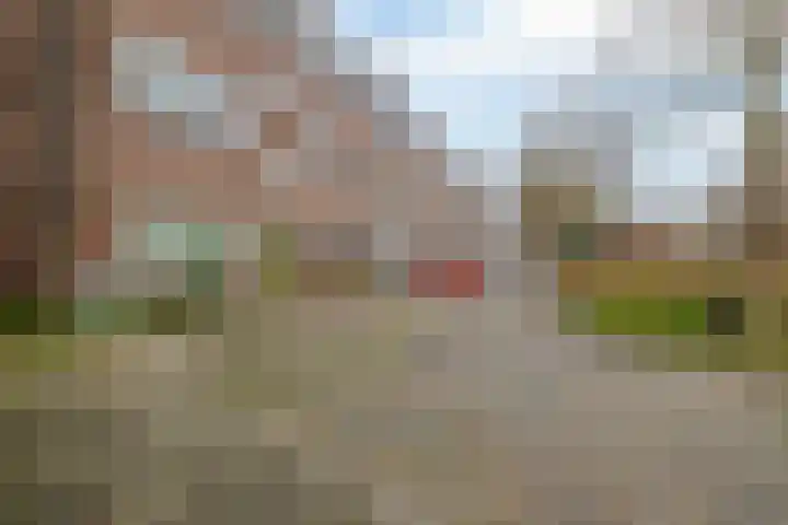 Praebsterkamp 3 a Zutphen thumbnail 21