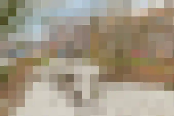 Praebsterkamp 3 a Zutphen thumbnail 22