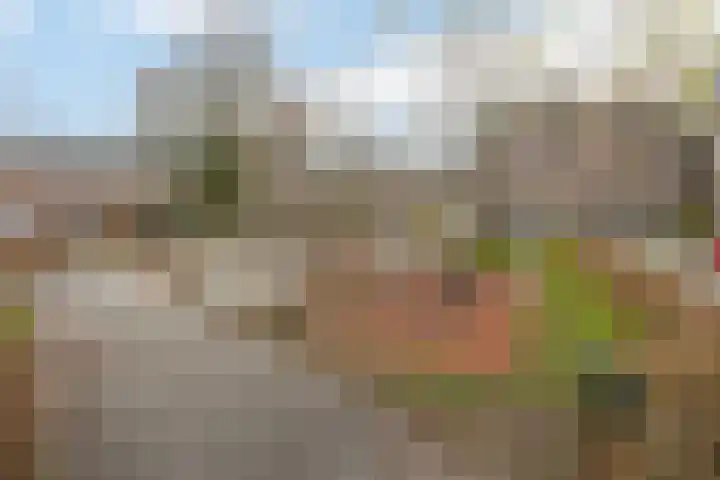 Praebsterkamp 3 a Zutphen thumbnail 23