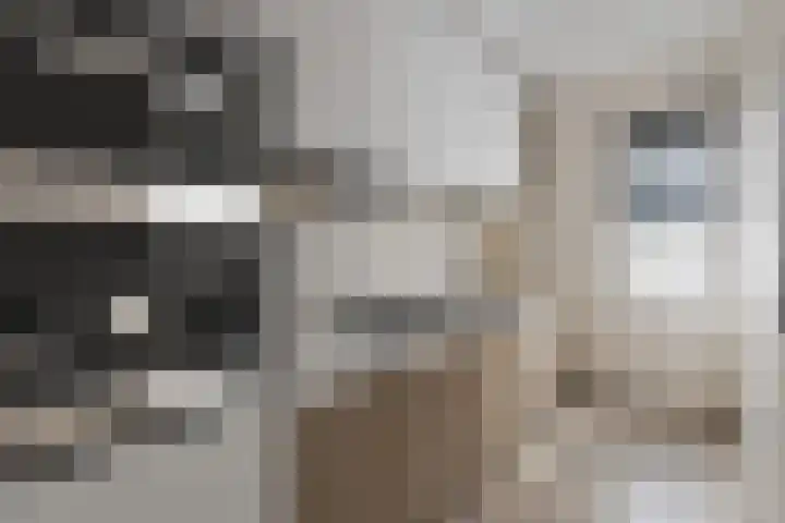 Praebsterkamp 3 a Zutphen thumbnail 7