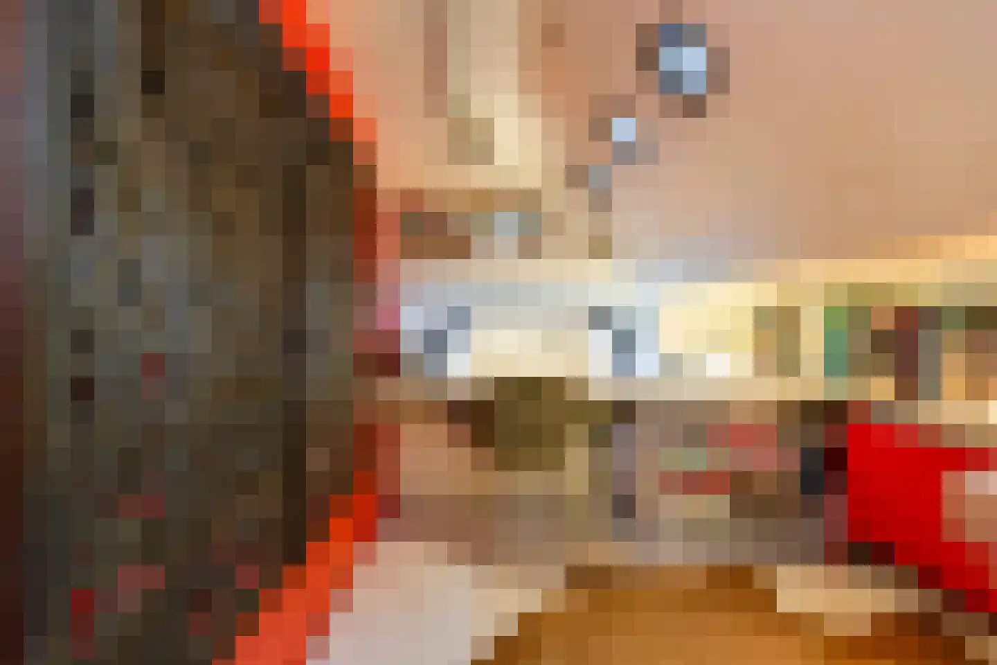 Praediniussingel 1004 Groningen thumbnail 20