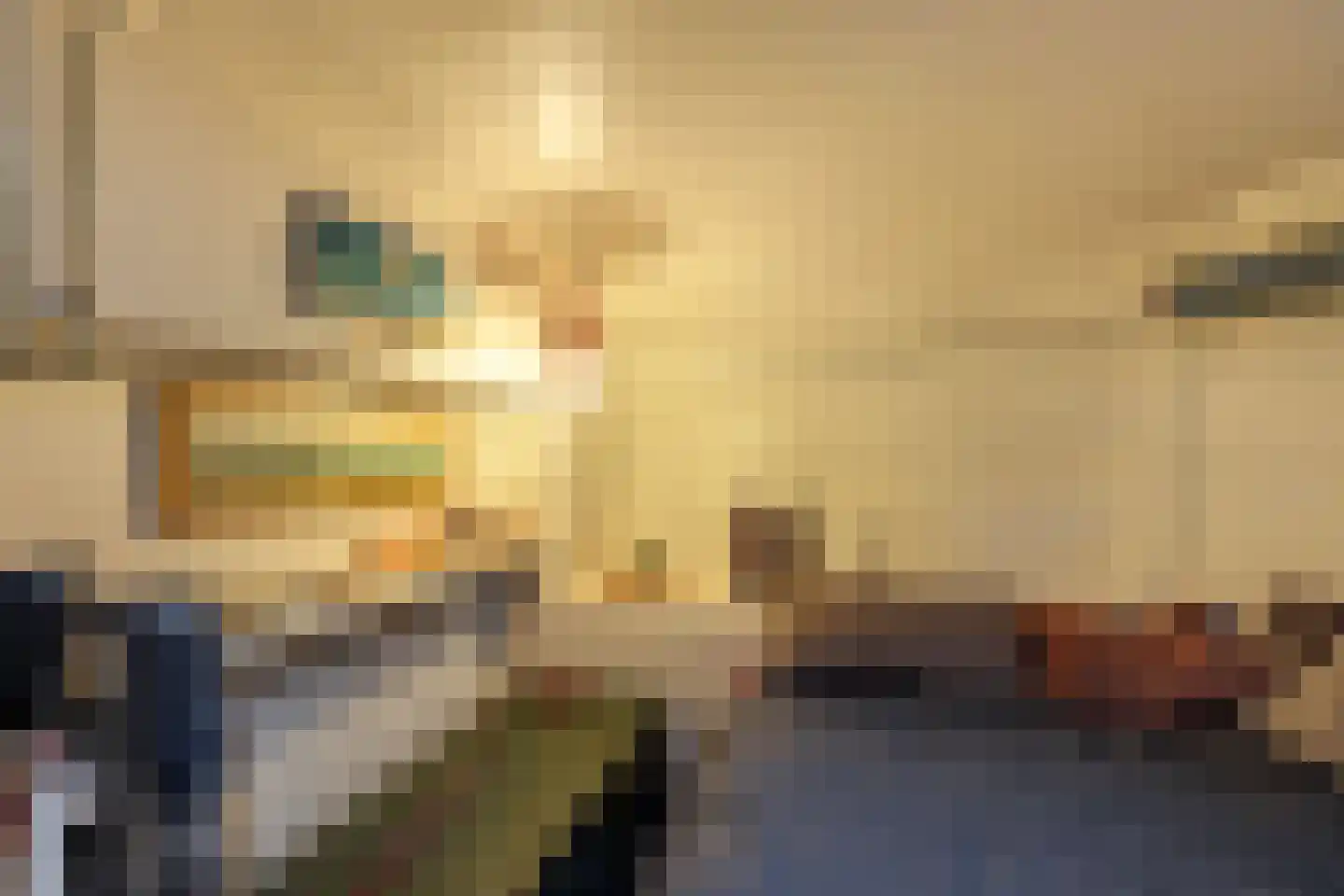 Praediniussingel 1004 Groningen thumbnail 23